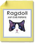 ragdoll cat club